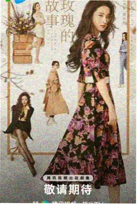 鹰虎蝗联组核心硬币图鉴